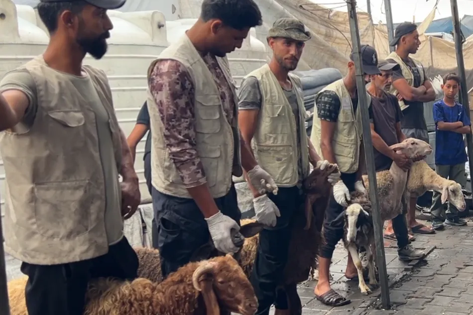 أضحيتك حياة