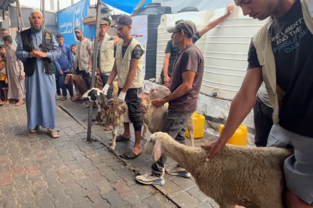 أضحيتك حياة